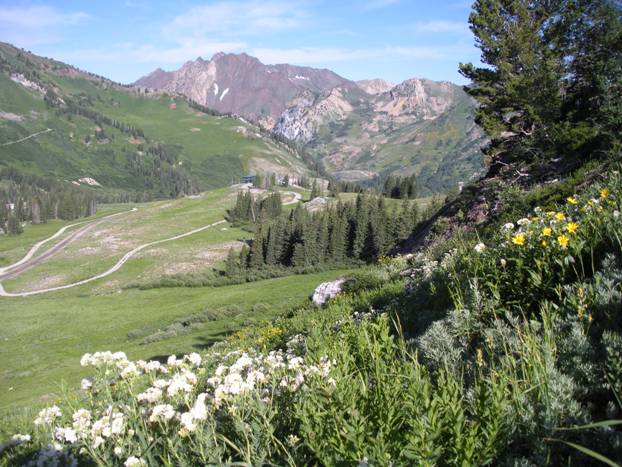 Alta Ski Area