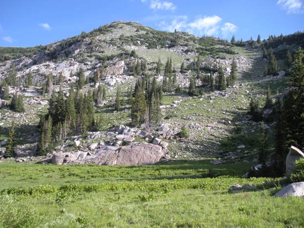 Mt. Wolverine from the meadows 