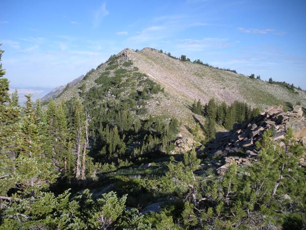 Mt. Wolverine from Tuscarora