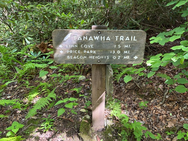 tanawha trail