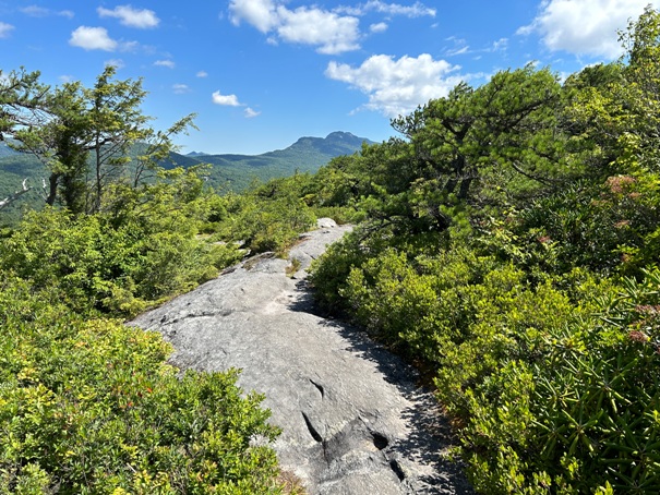 Flat Rock Trail 