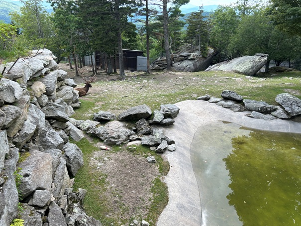 Elk habitat 
