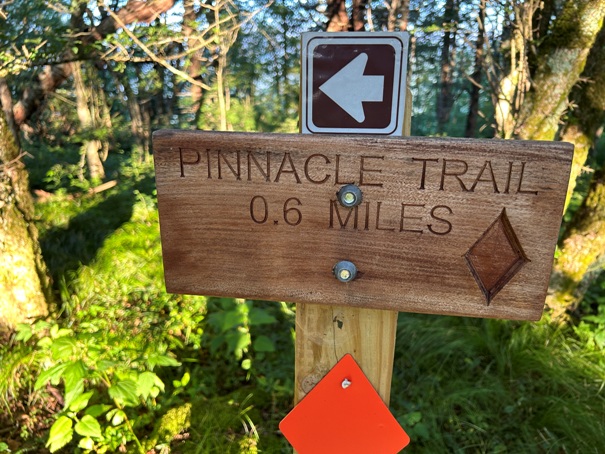 Pinnacle Trail
