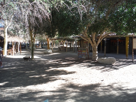 palm springs zoo