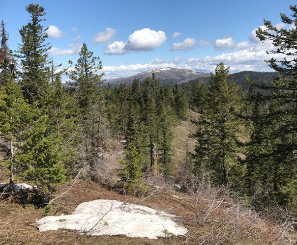 Bear Paw Ridge 