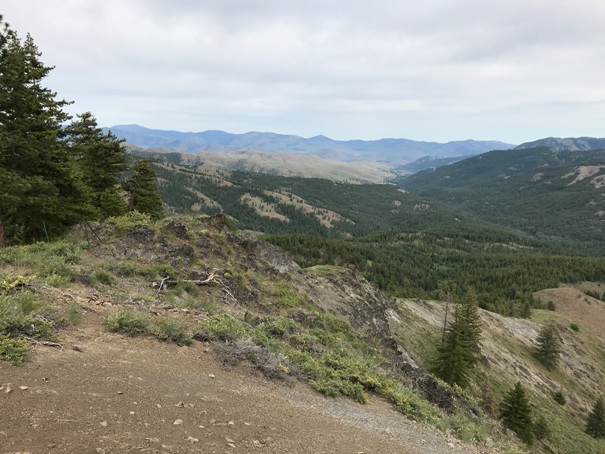 Twisp River Valley