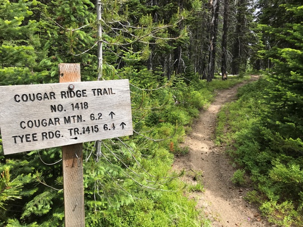 Cougar Ridge Trail