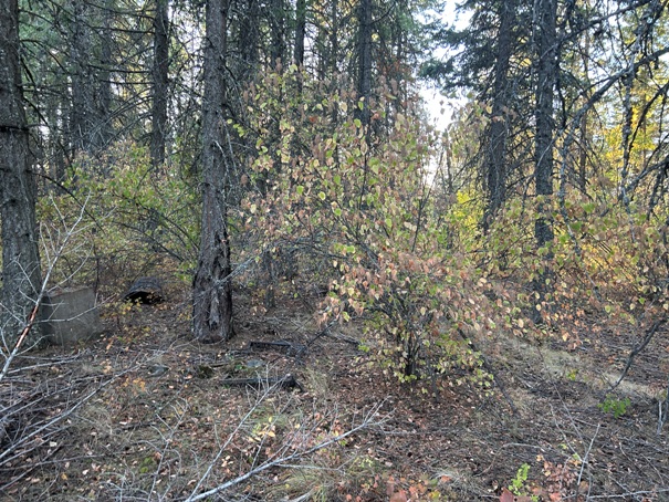 Dry Canyon Lookout 