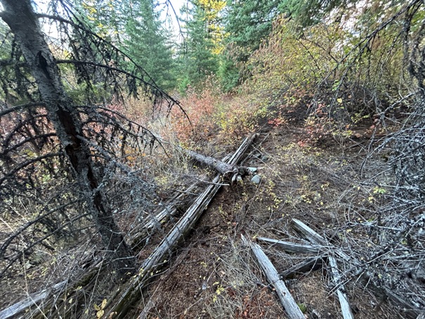 Dry Canyon Lookout 