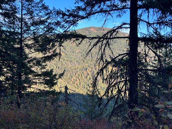 Dry Canyon Lookout 