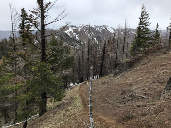 hiking trail