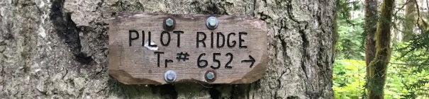 pilot ridge sign