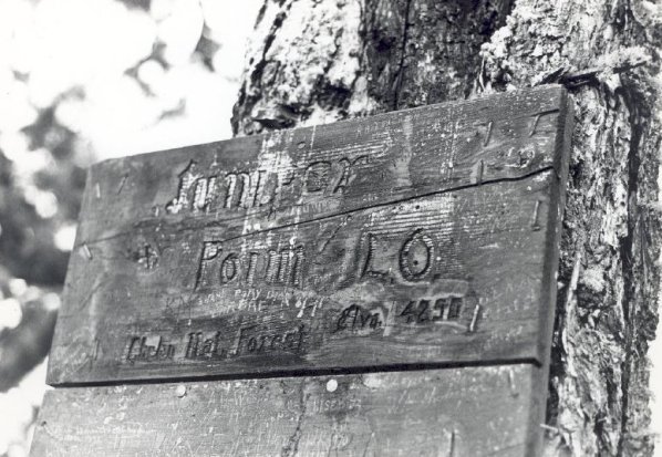juniper sign