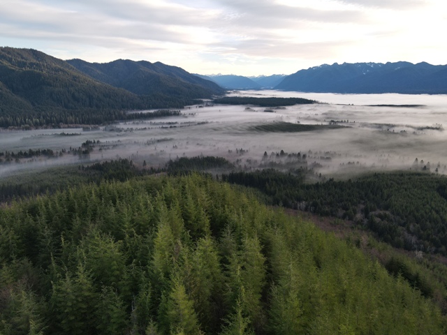 Quinault River Valley 