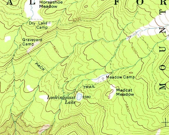 madcat meadow map