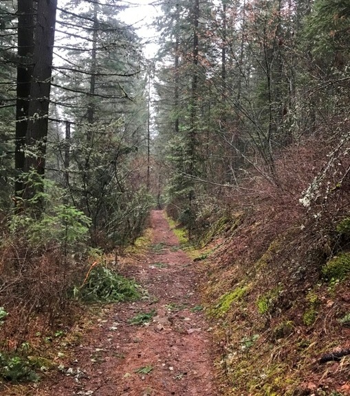 Edith Hanson Trail