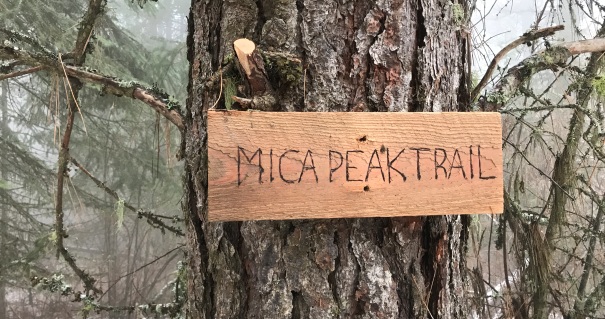 mica peak sign