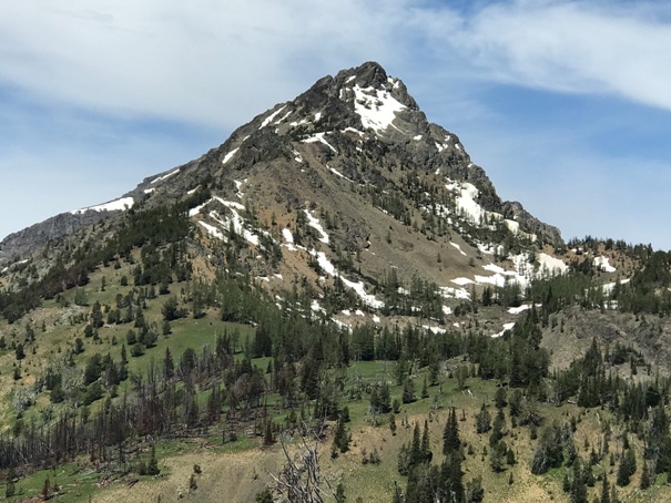 Gardner Mountain