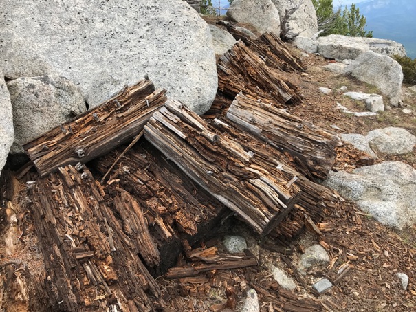 old woodpile 