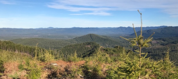 queets river valley