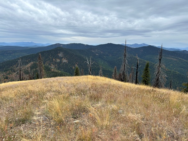 Grassy Top Mountain