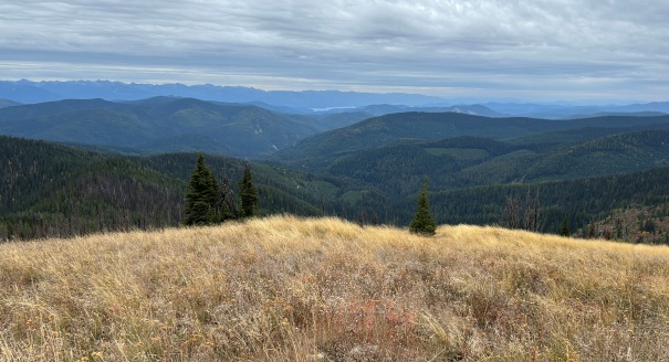 Priest Lake