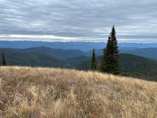 selkirk mountains