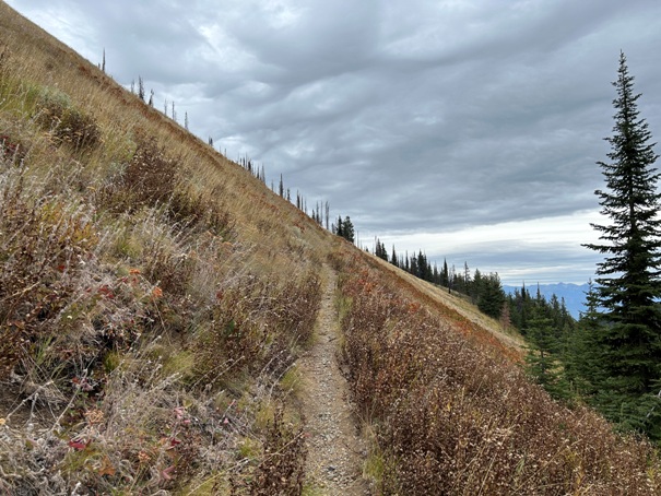 round top mountain 