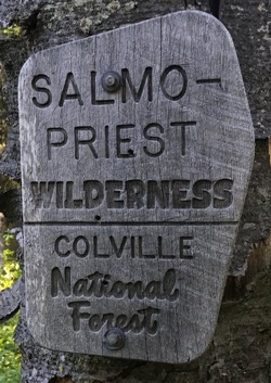 salmo-priest