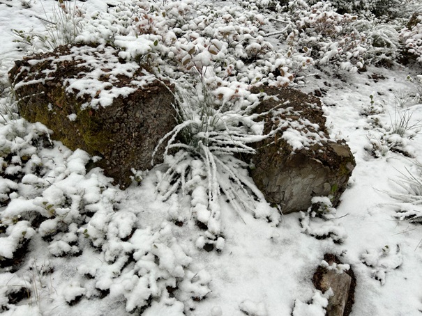 Thunder Mountain 