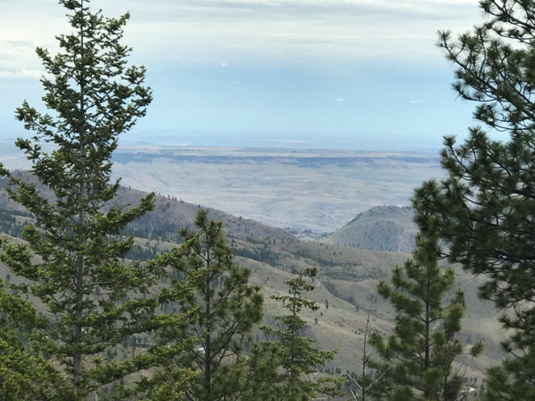 Columbia Plateau