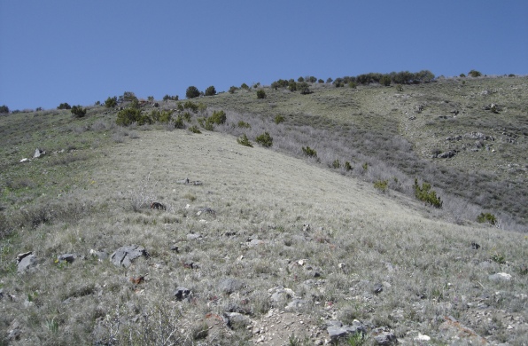 Johnson Pass Peak