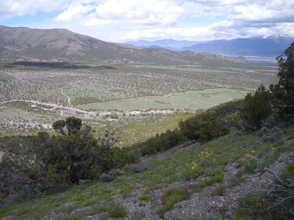 Johnson Pass 