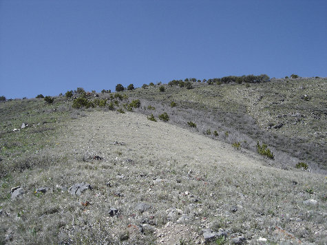 Johnson Pass Peak