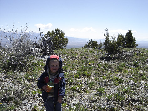 Johnson Pass Peak