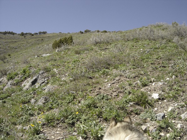 Johnson Pass Peak