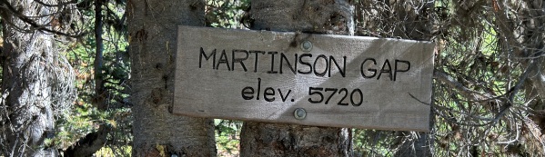 martinson gap