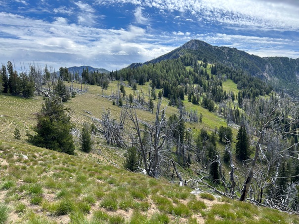 North Navarre Peak