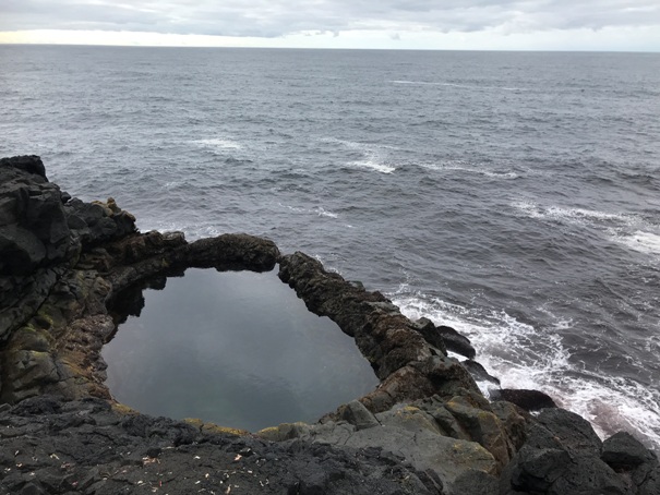 Brimketill Rock Pool