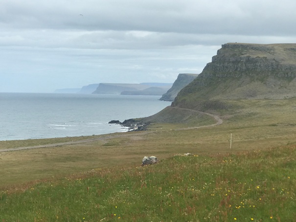 Latrabjarg Bird Cliffs