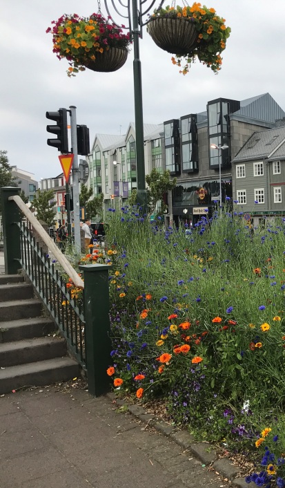 reykjavik