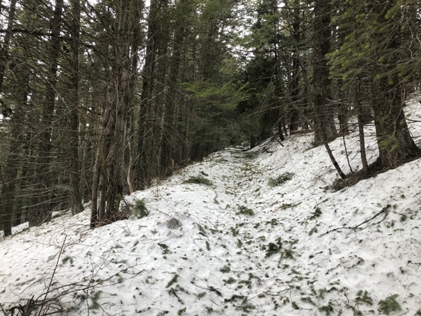 Bernard Peak trail 