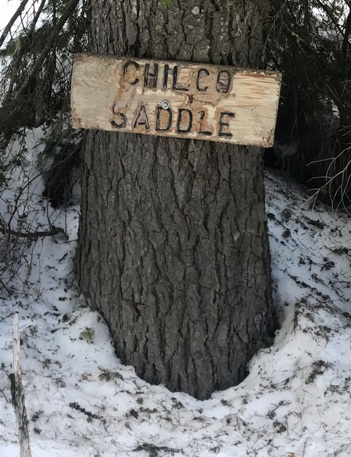 chilco saddle