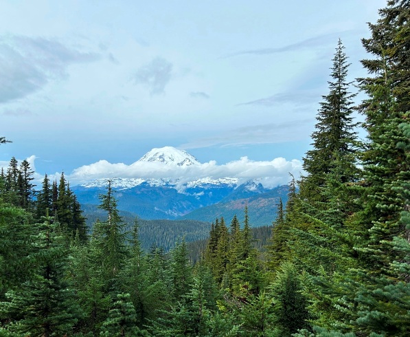 mount rainier