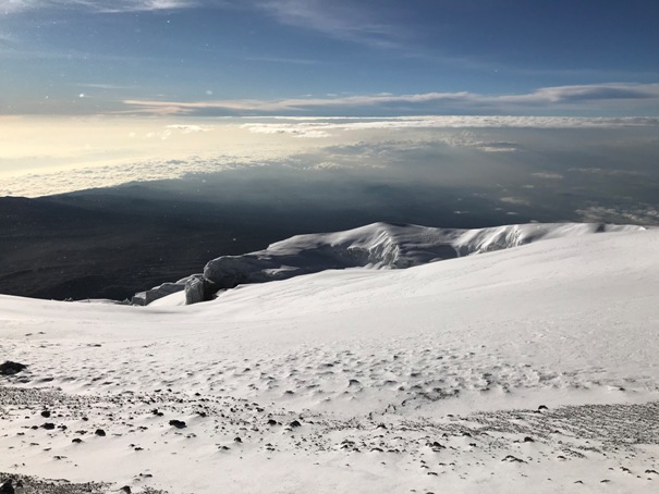 kilimanjaro 