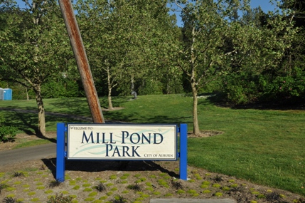 Mill Pond Park 