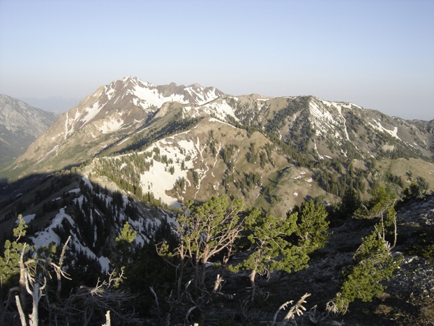 Mt. Superior 