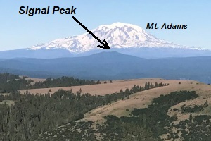 Signal Peak