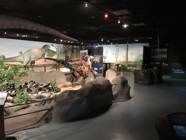 Prehistoric Life Gallery