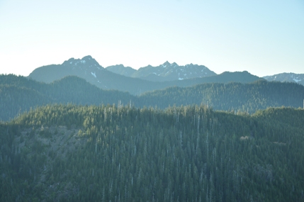 capitol peak